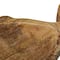 Hello Honey® 8" Coastal Carved Fish-Shaped Wood Serving Tray